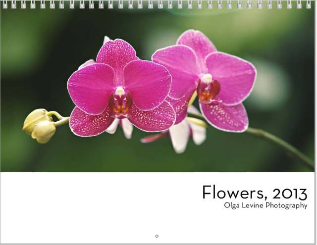 Flowers2013Calendar-Cover